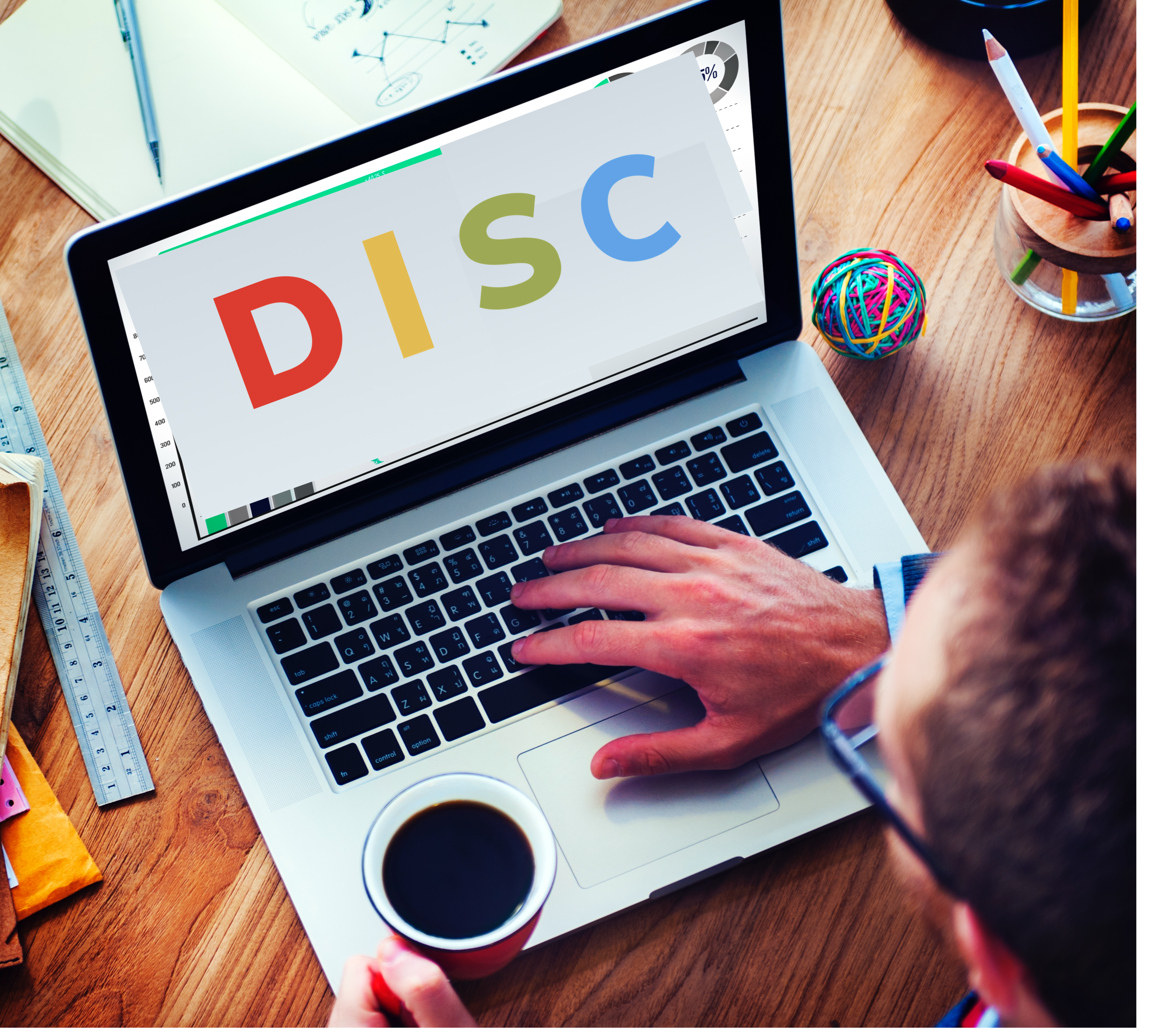 ONLINE DISC ASSESSMENT image